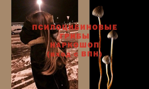 ГАЛЛЮЦИНОГЕННЫЕ ГРИБЫ Наволоки