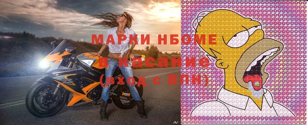 шишки Надым