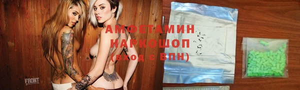 шишки Надым