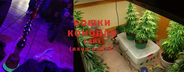 шишки Надым