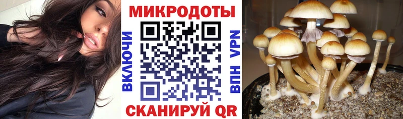 MEGA зеркало  купить закладку  Таруса  Галлюциногенные грибы мицелий 